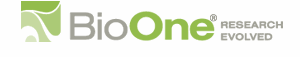 bioOne splash logo
